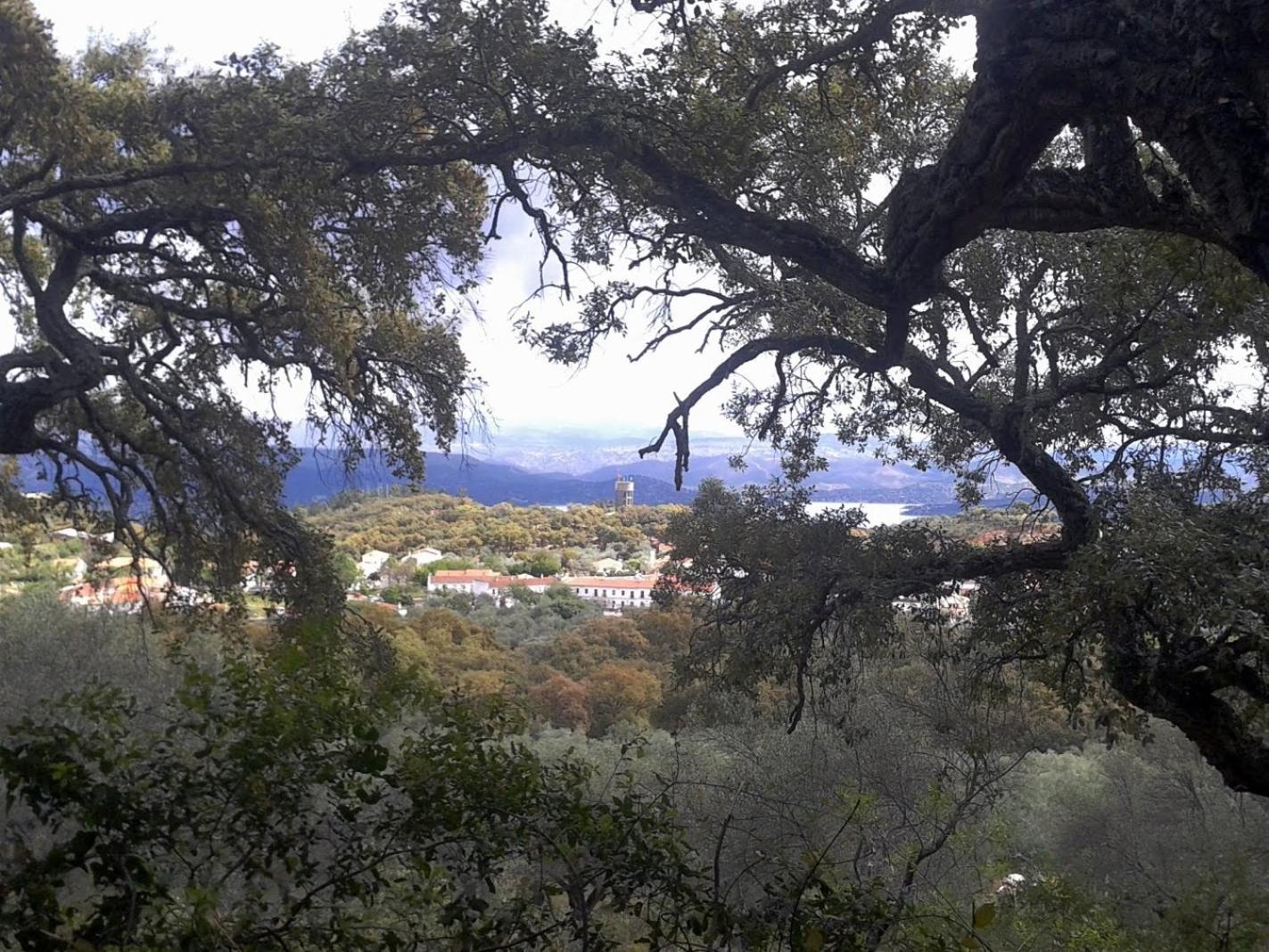 La Casa Del Cura ξενώνας Corteconcepción Εξωτερικό φωτογραφία